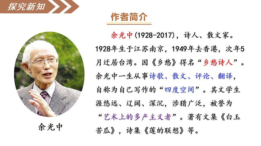17293675第7页
