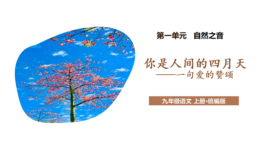 17293680第1页