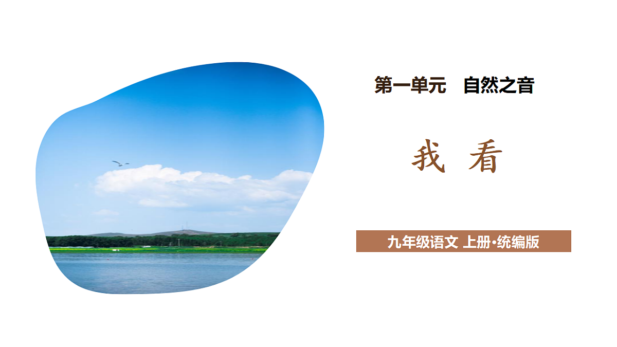 17293686第1页