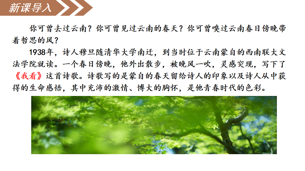 17293686第5页