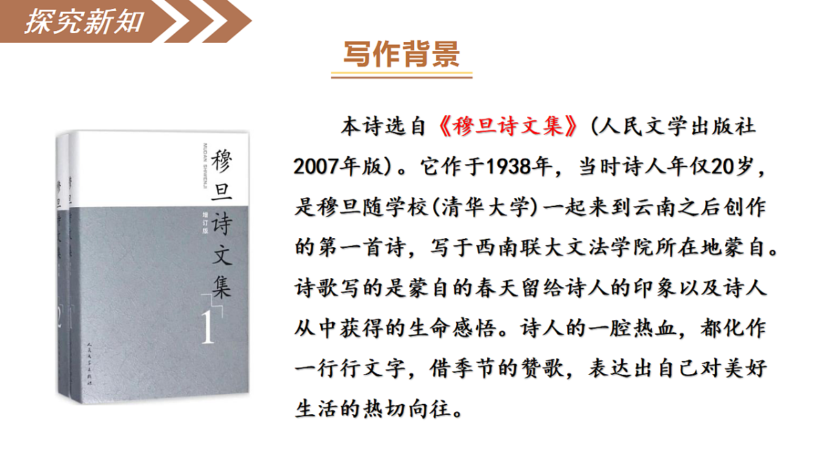 17293686第8页