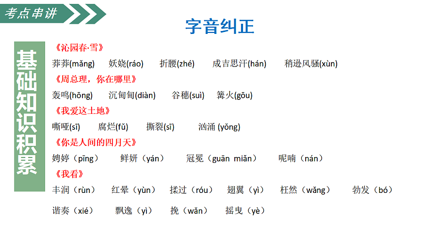 17293689第5页