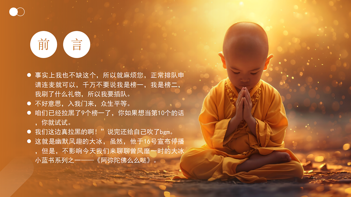 17294089第3页