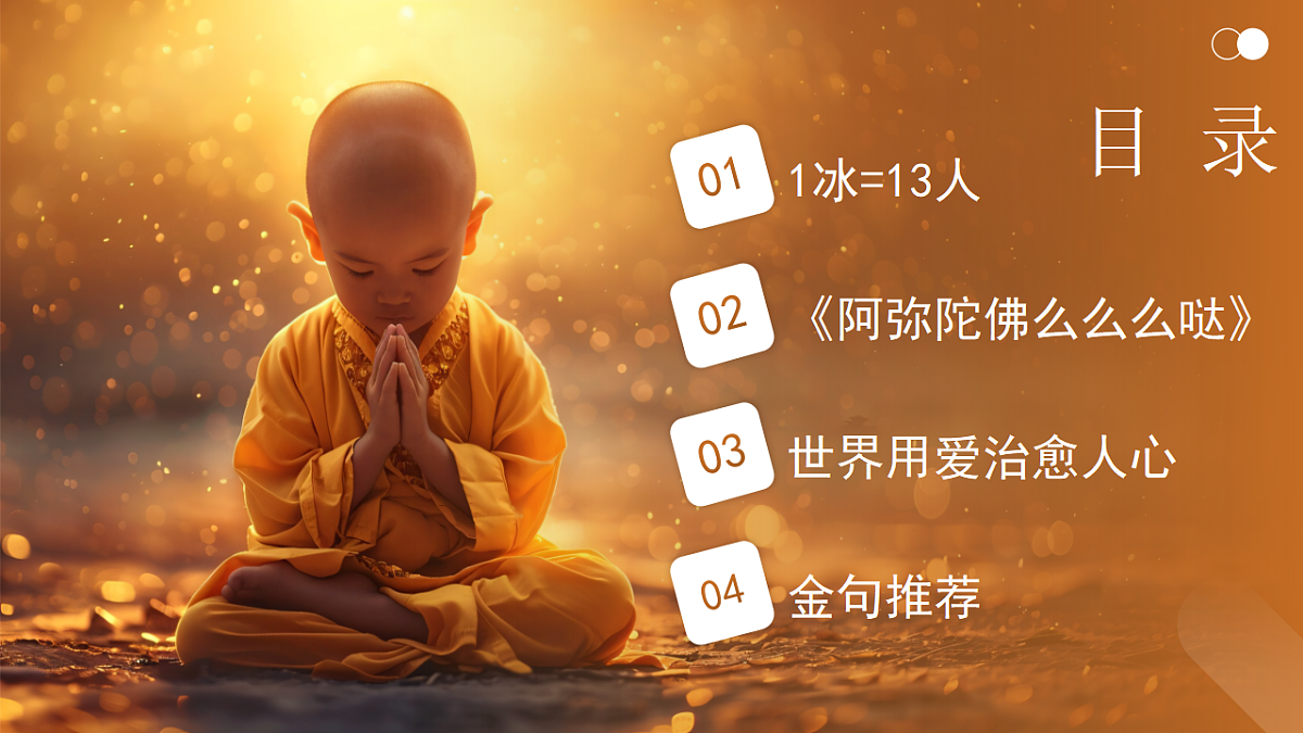 17294089第4页