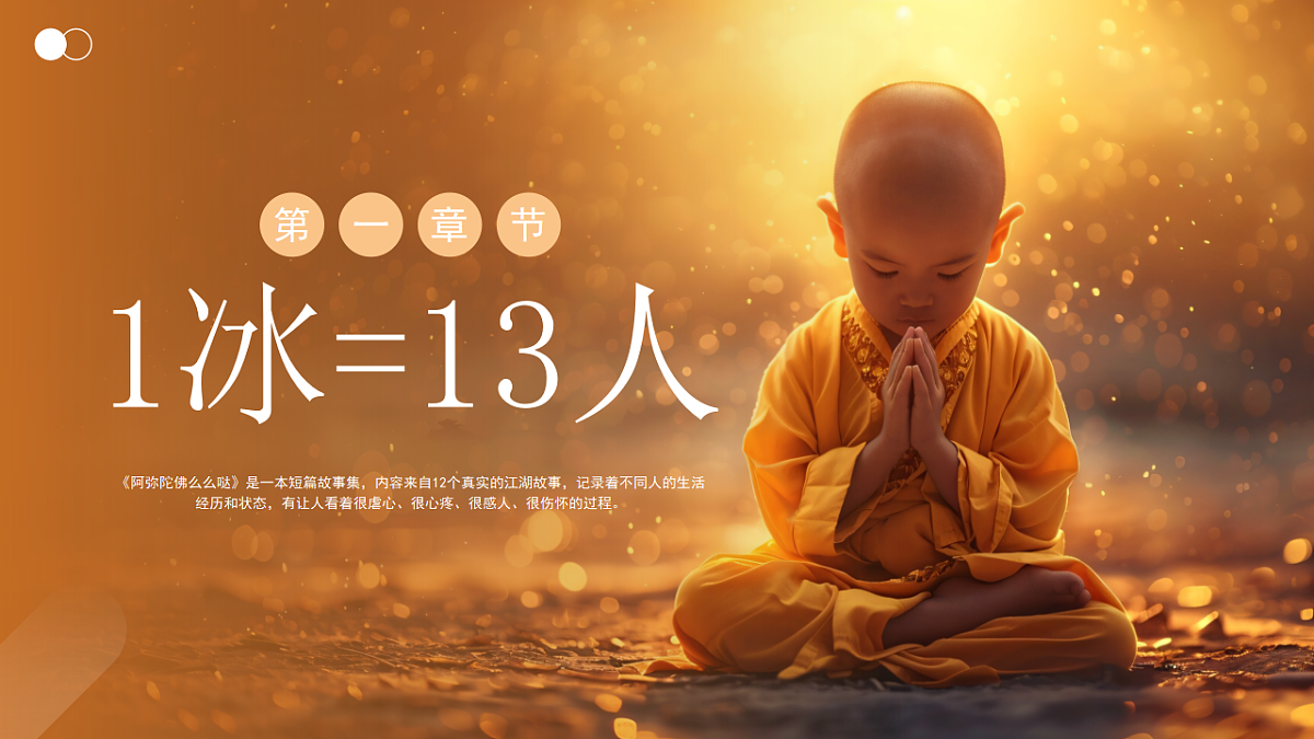 17294089第5页