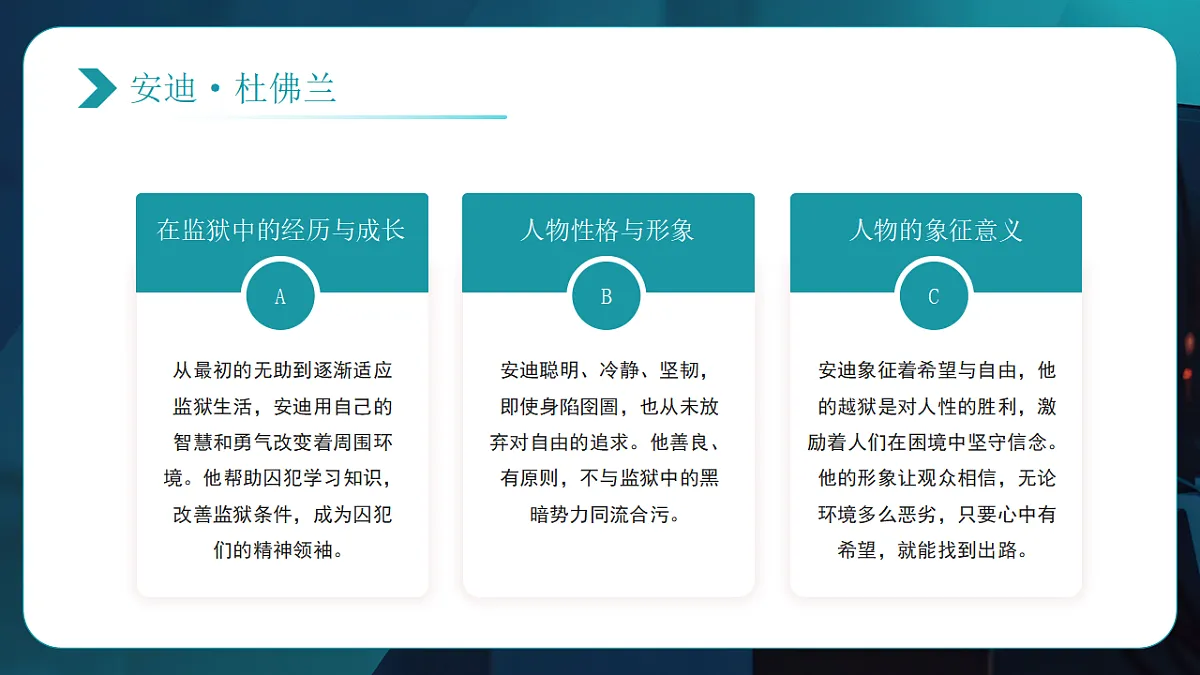 17294098第8页