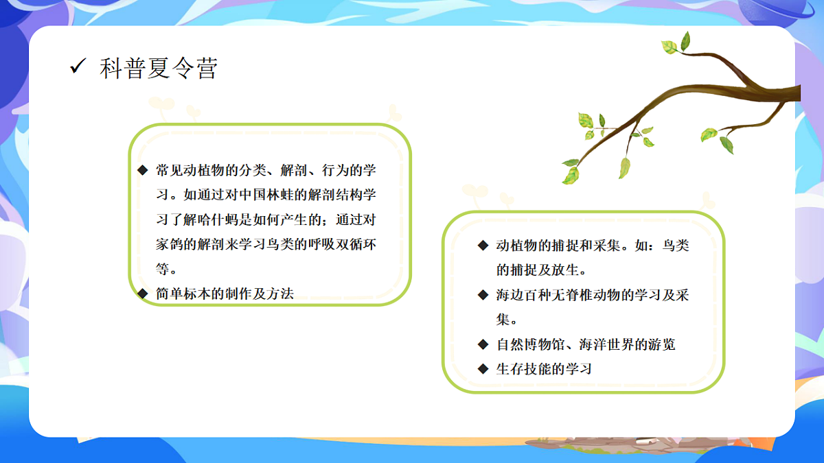 17294121第8页