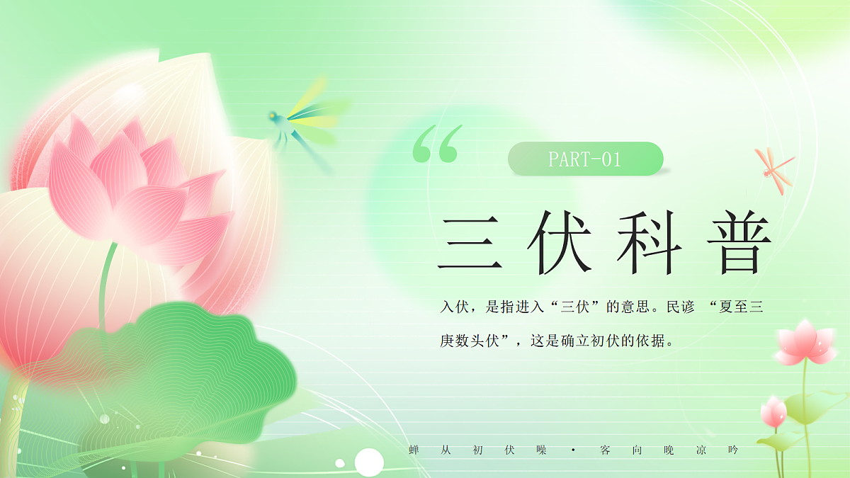 17294123第3页