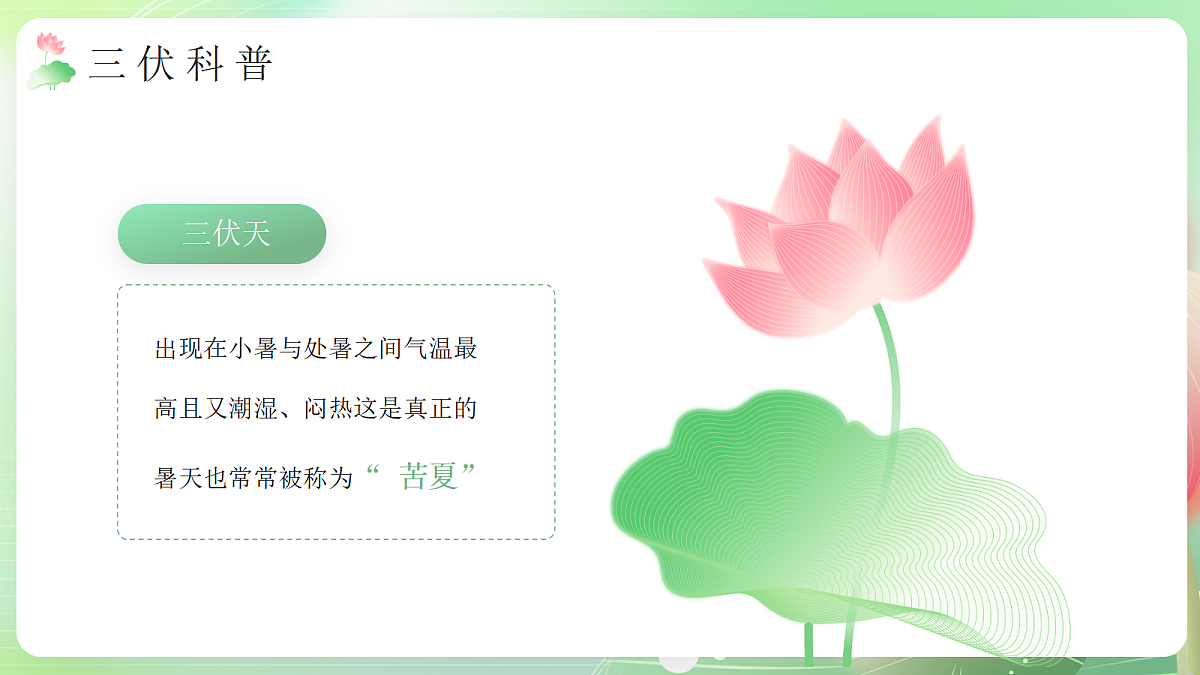 17294123第4页