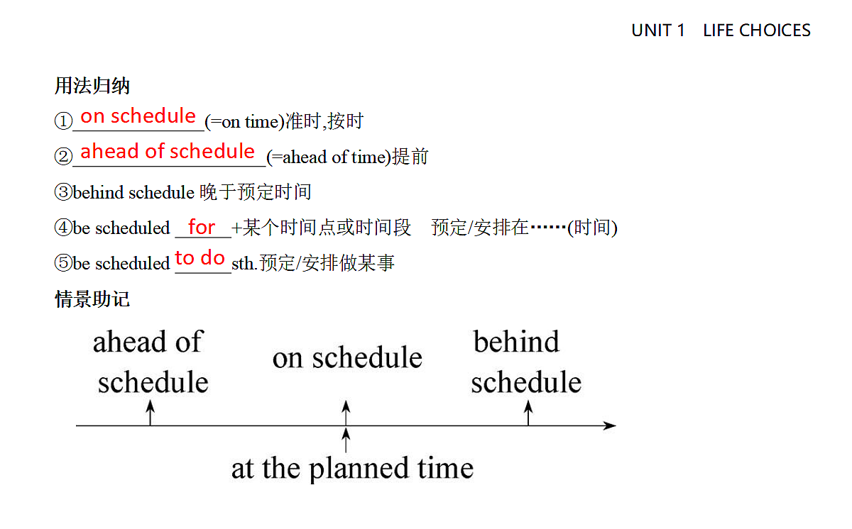 17294226第5页