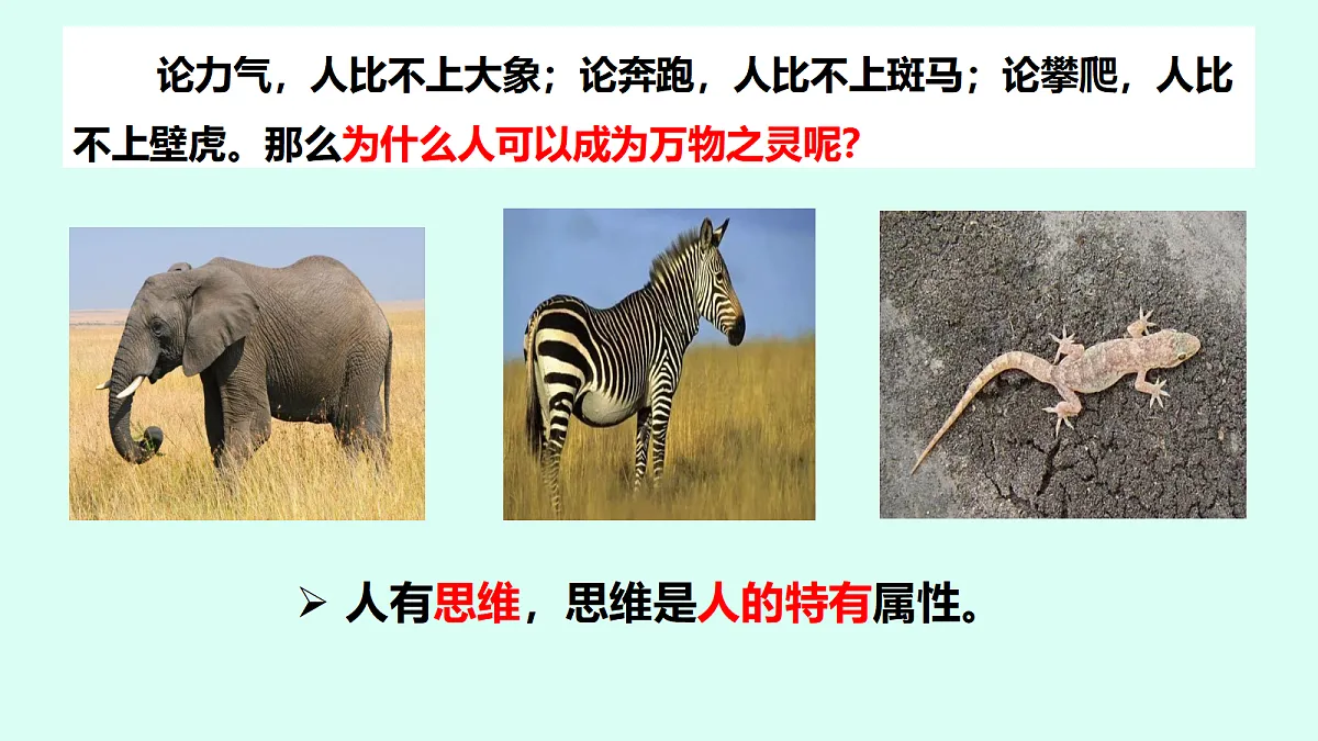 17294273第4页