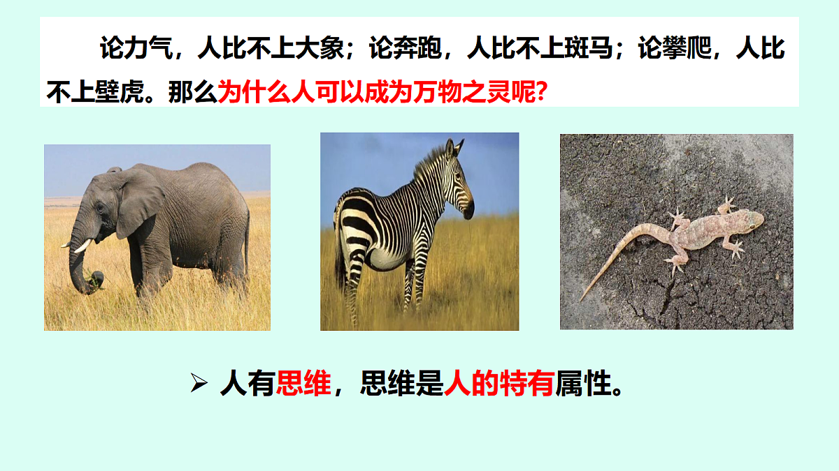 17294273第4页
