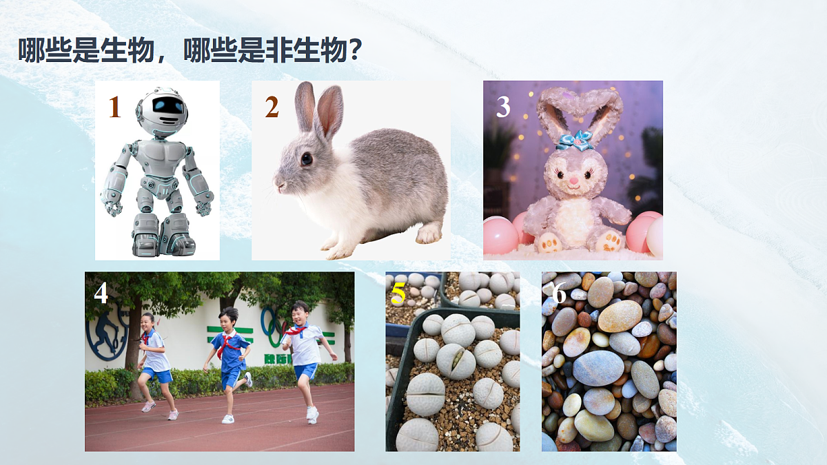 17294275第3页