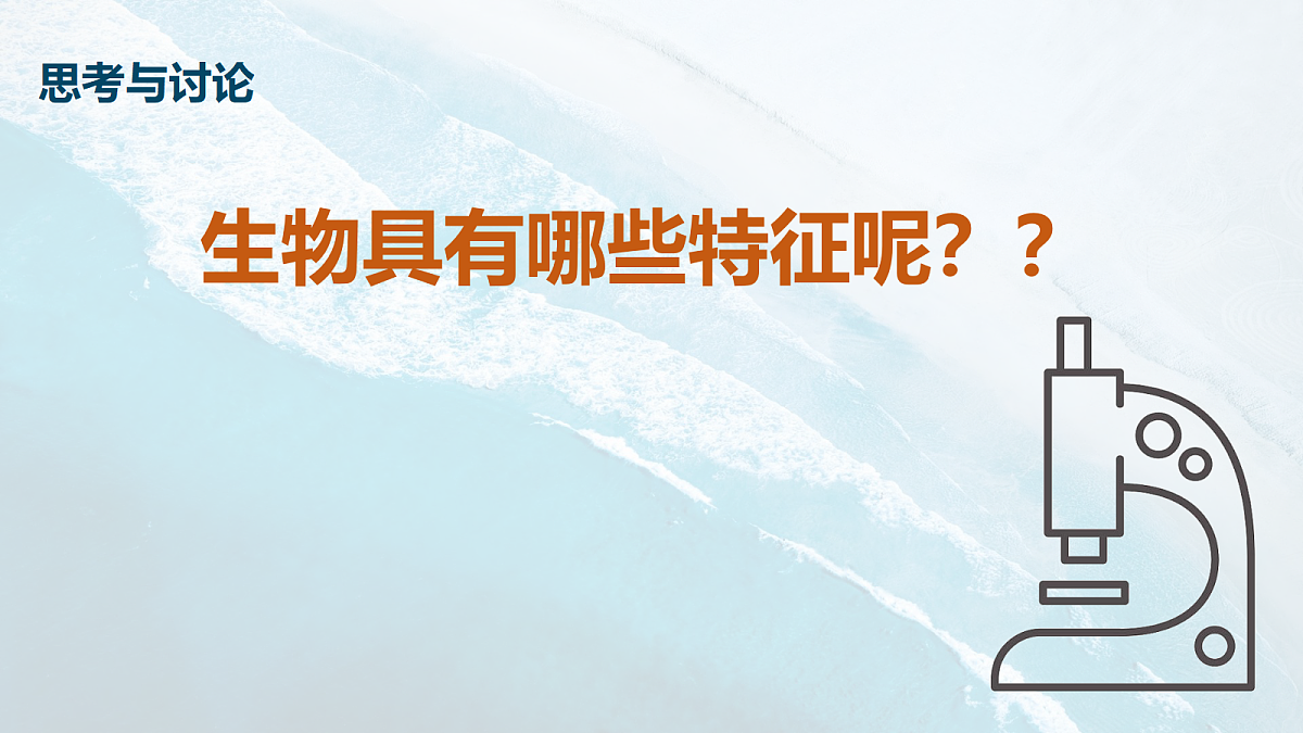 17294275第5页