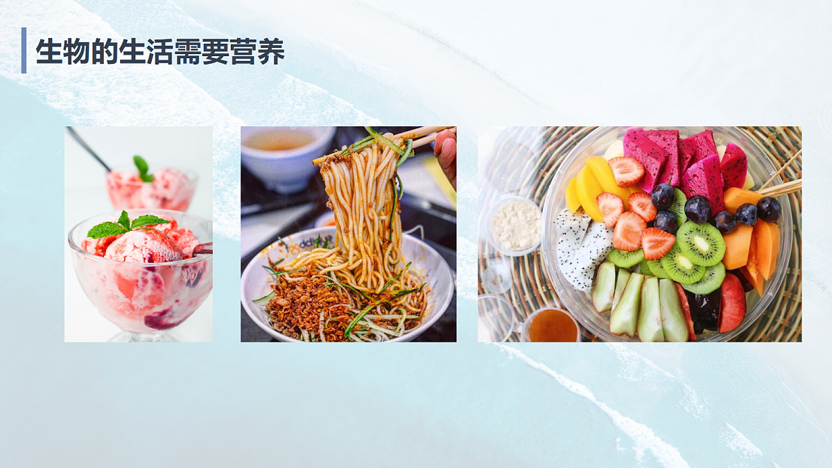 17294275第7页