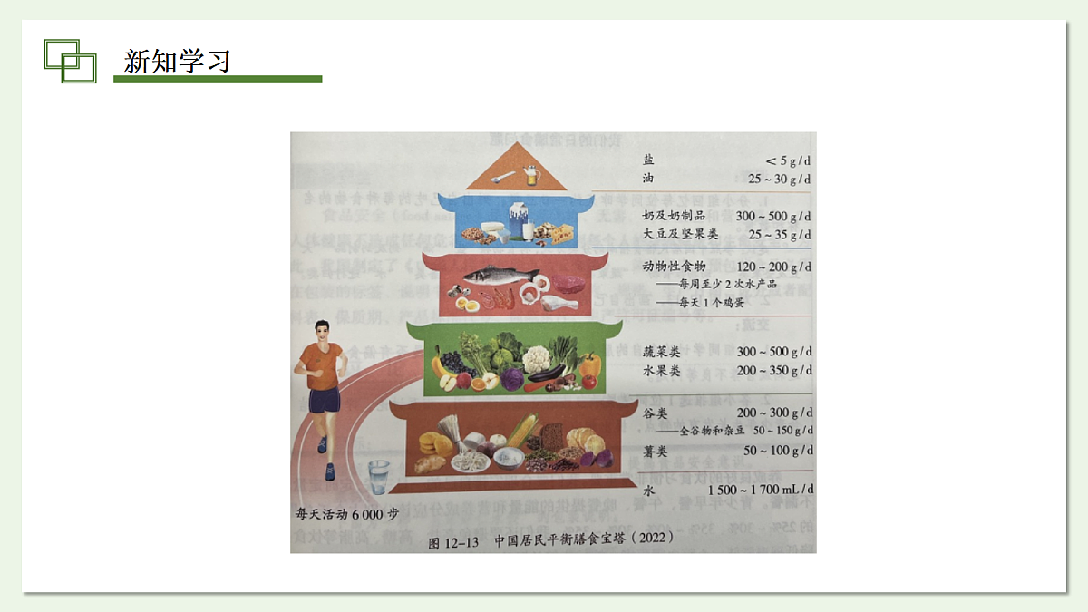 17294347第5页