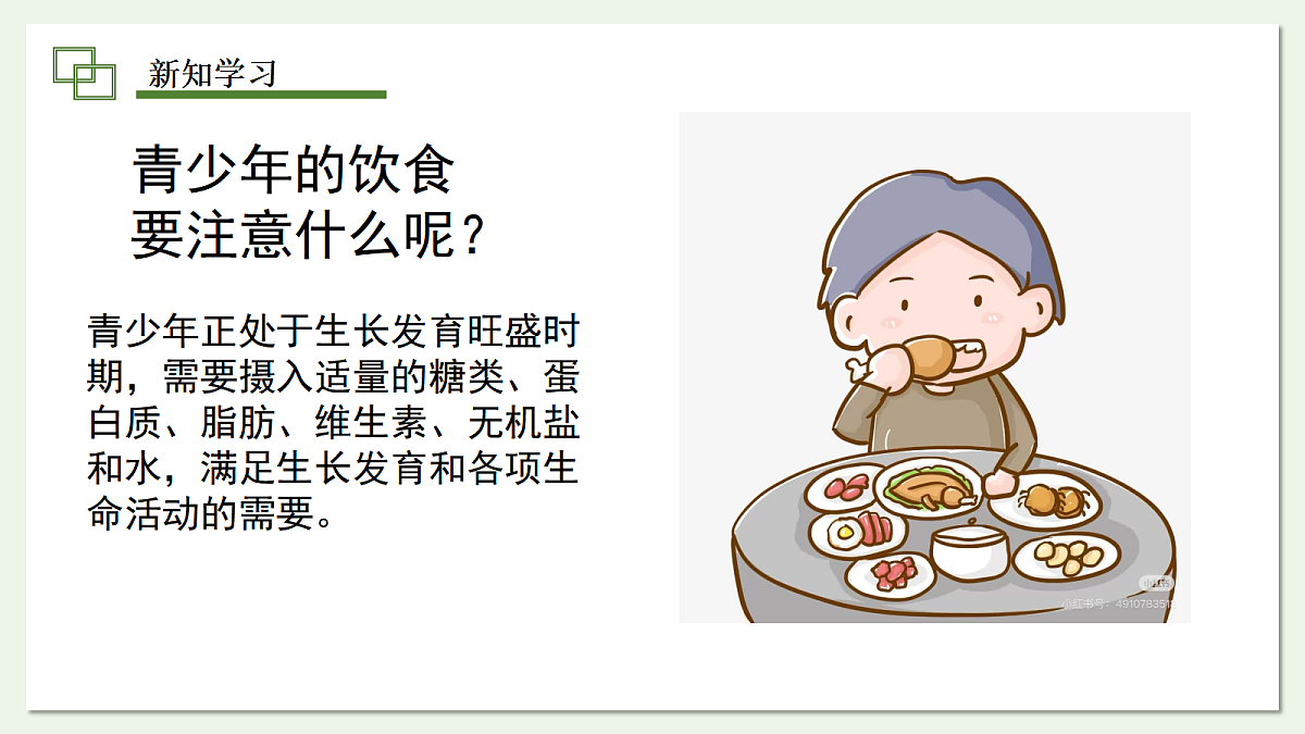 17294347第8页