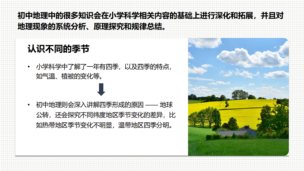 17294532第7页