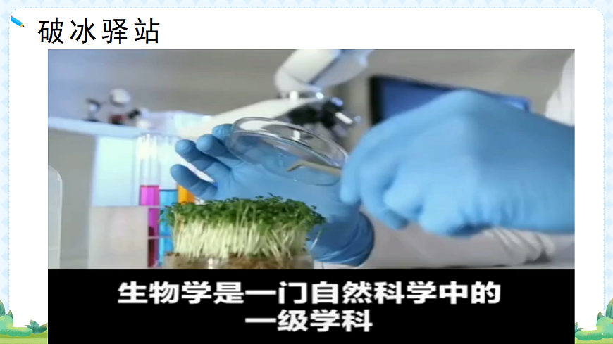 17294534第4页