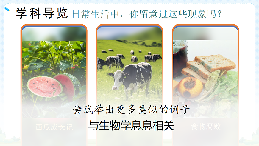 17294534第7页