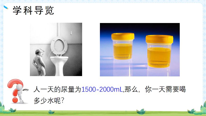 17294534第8页