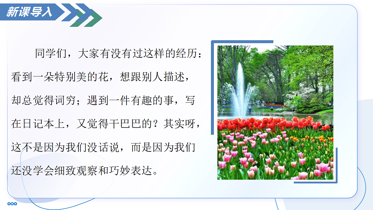 17294746第3页