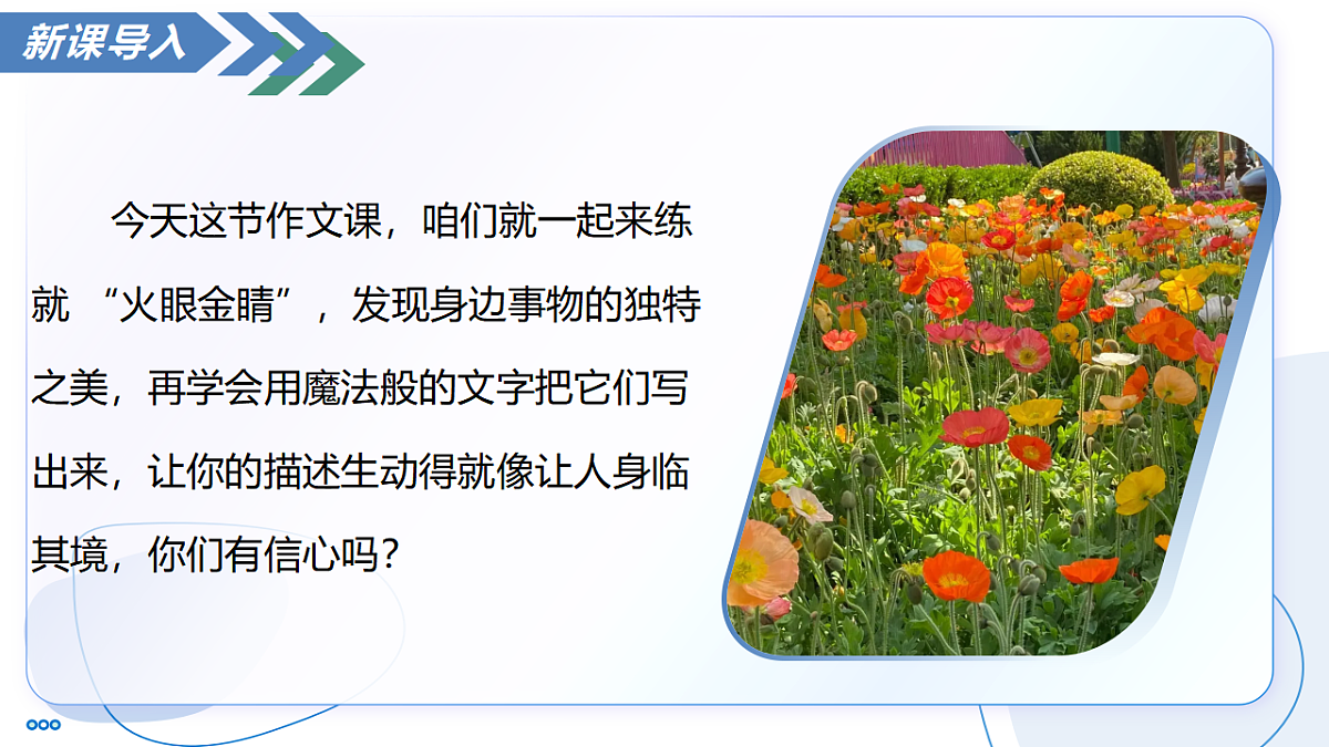17294746第4页