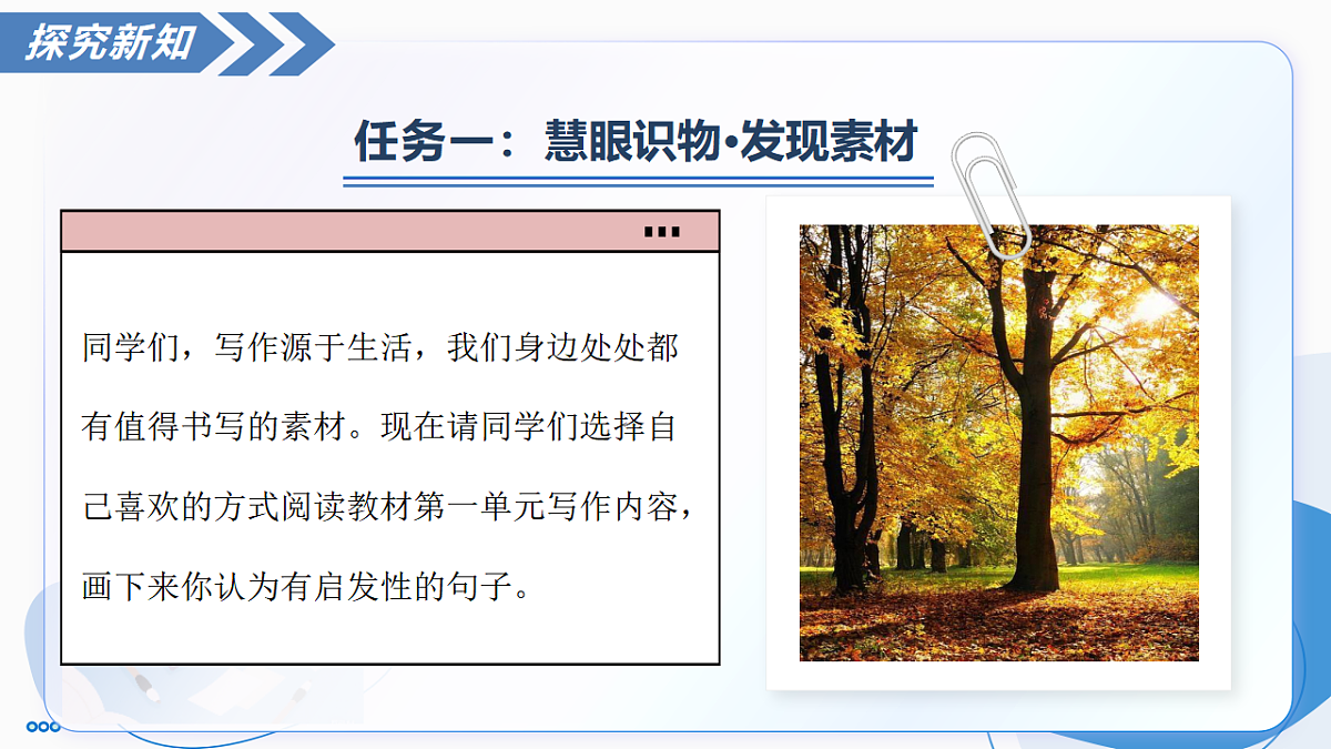 17294746第8页