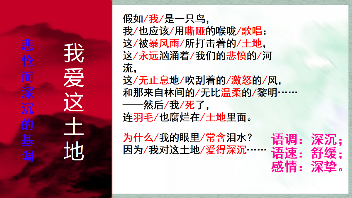17294772第6页