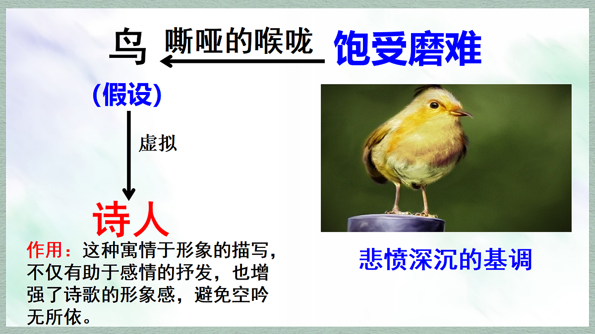 17294772第8页