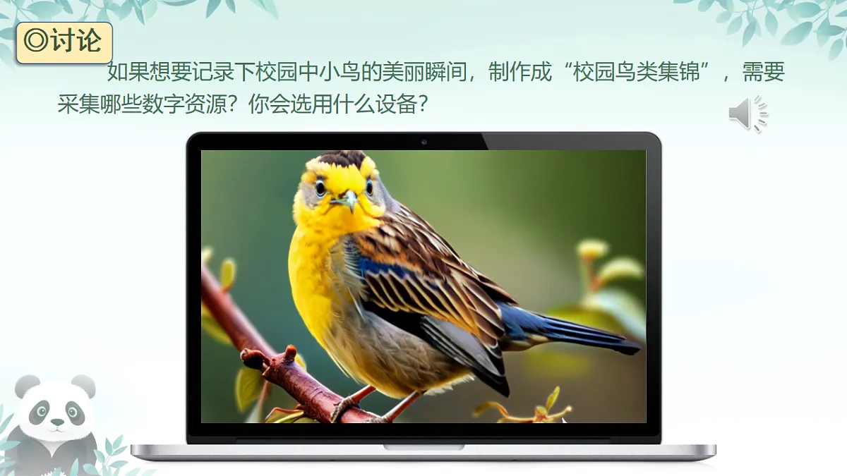 17294787第2页