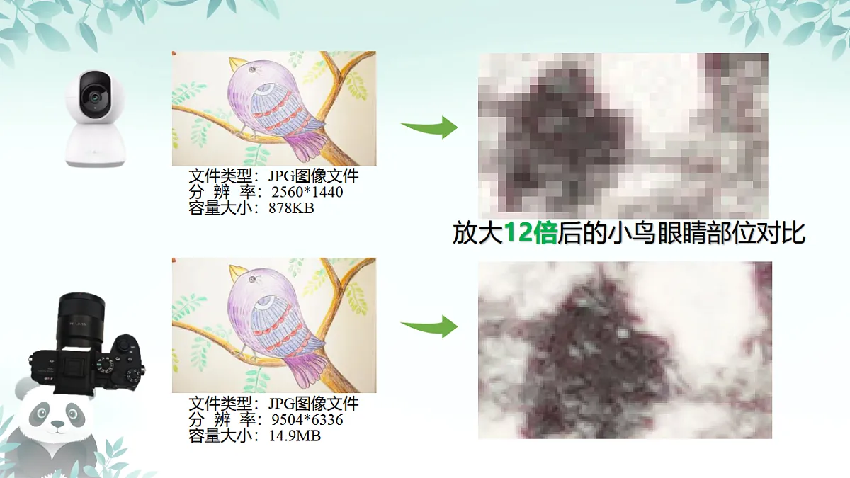 17294787第5页
