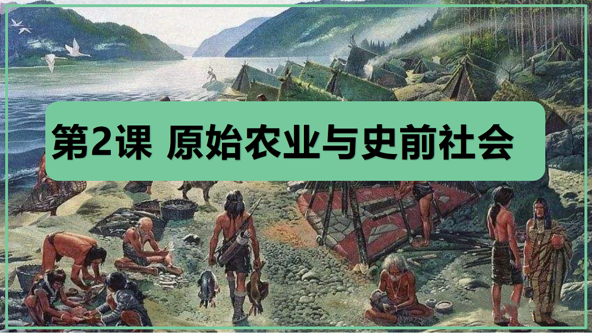 17294876第2页
