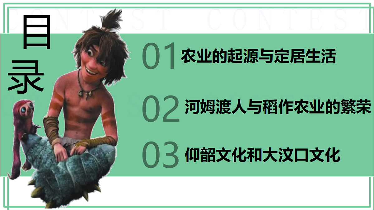 17294876第4页