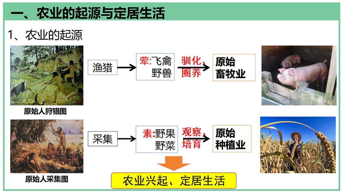 17294876第6页