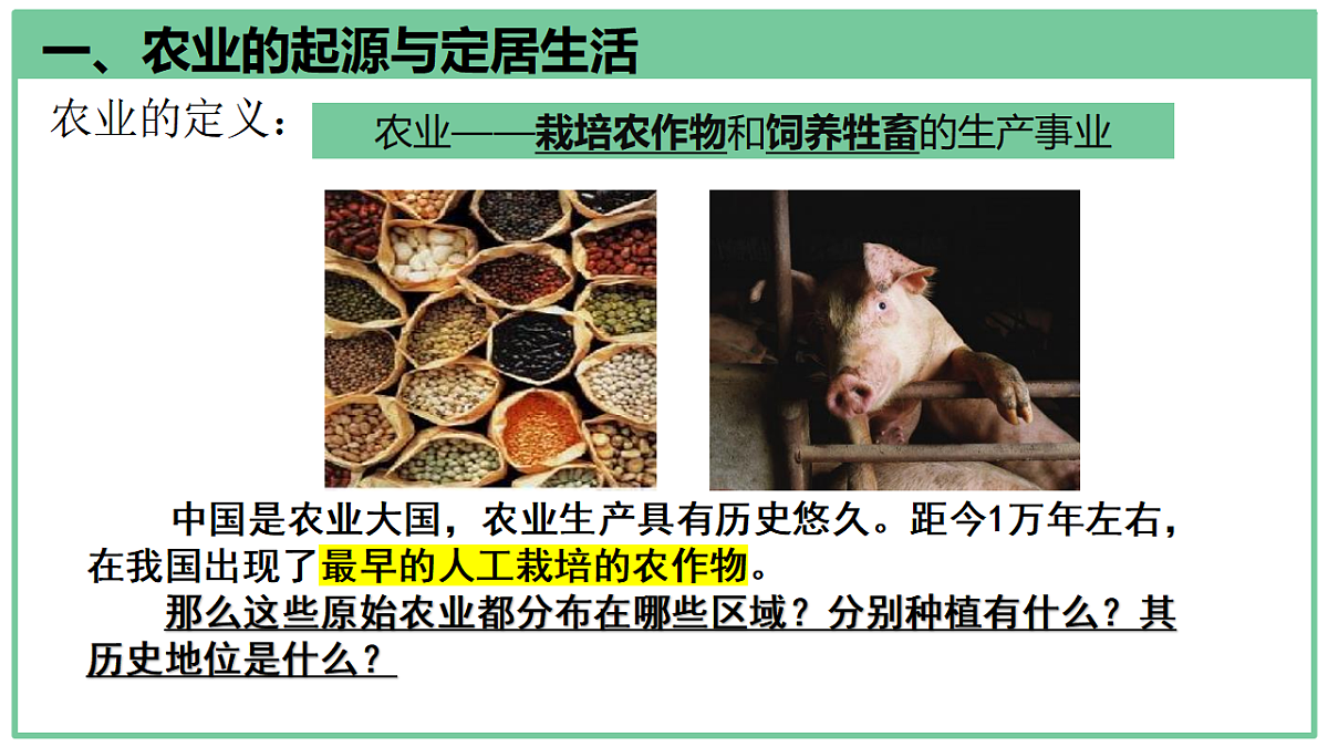 17294876第7页