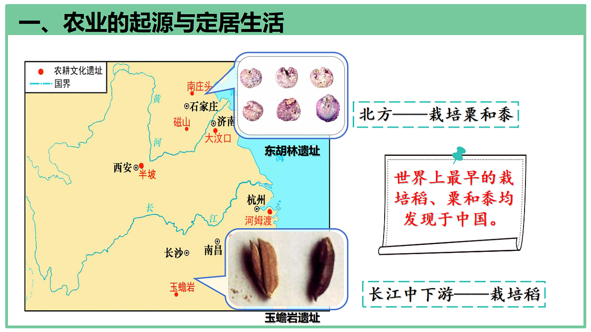 17294876第8页