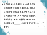 2025年新北师大版初中数学八年级上册2 一定是直角三角形吗习题课课件（含答案解析）
