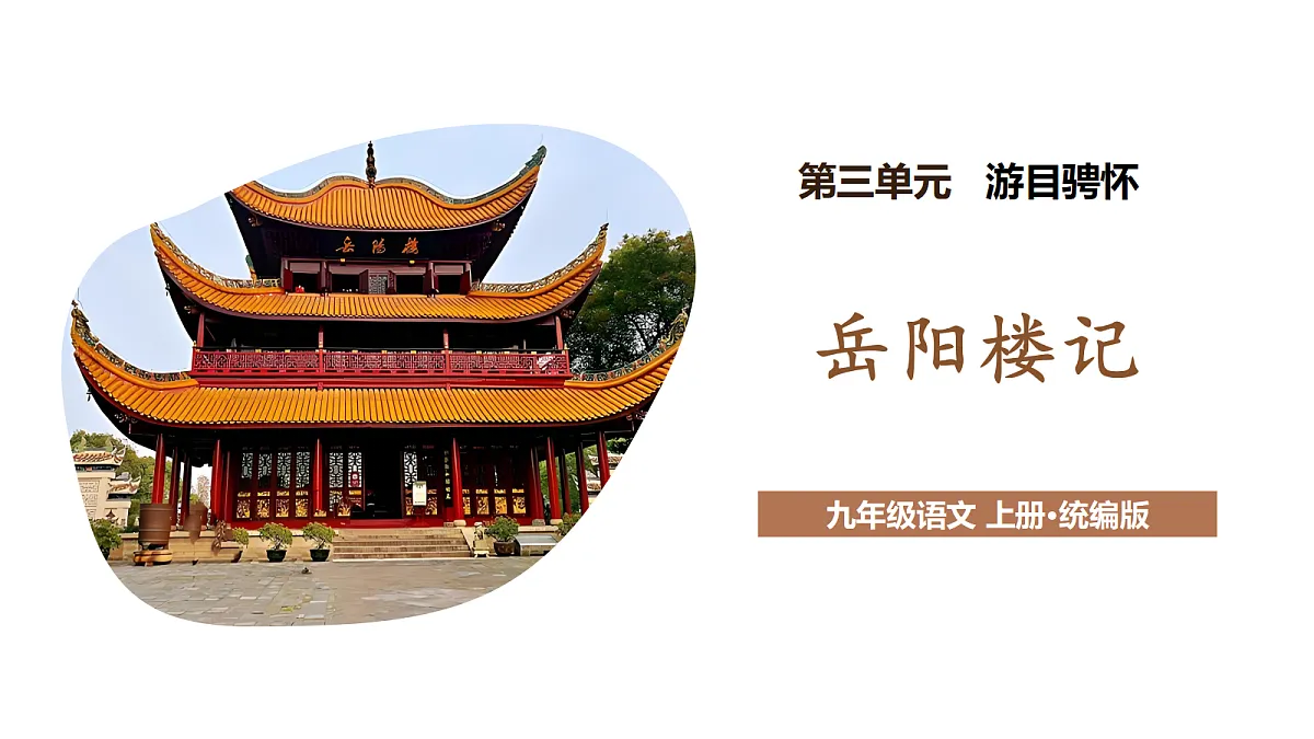 17295155第1页