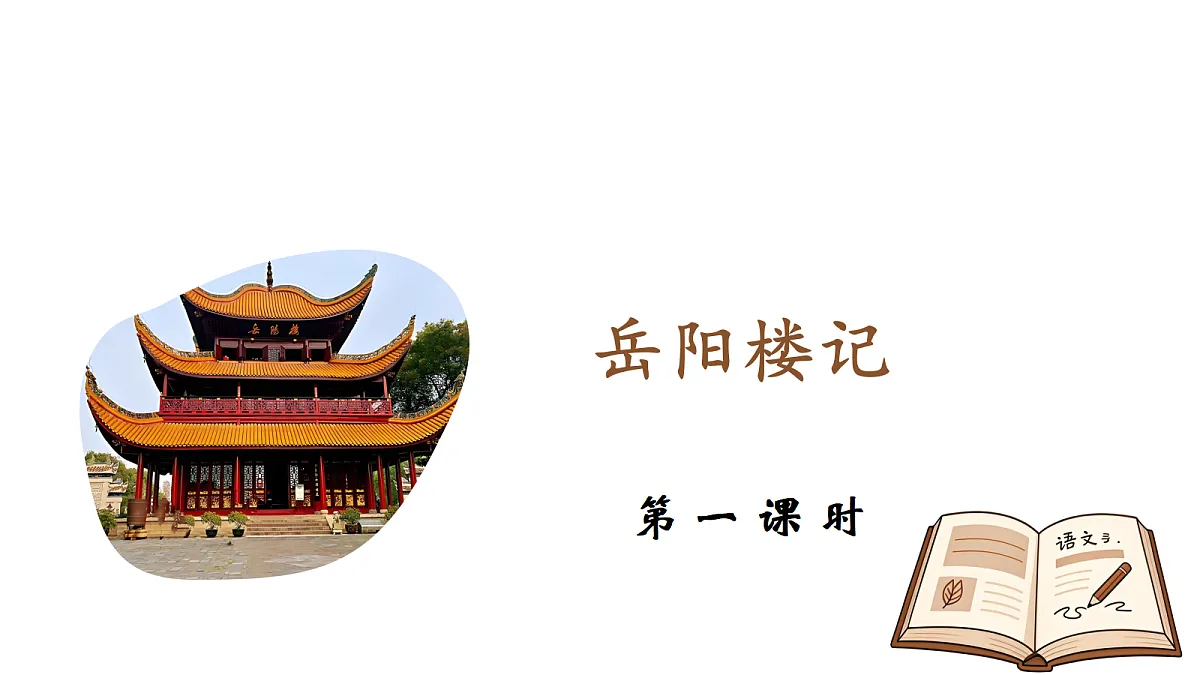 17295155第5页