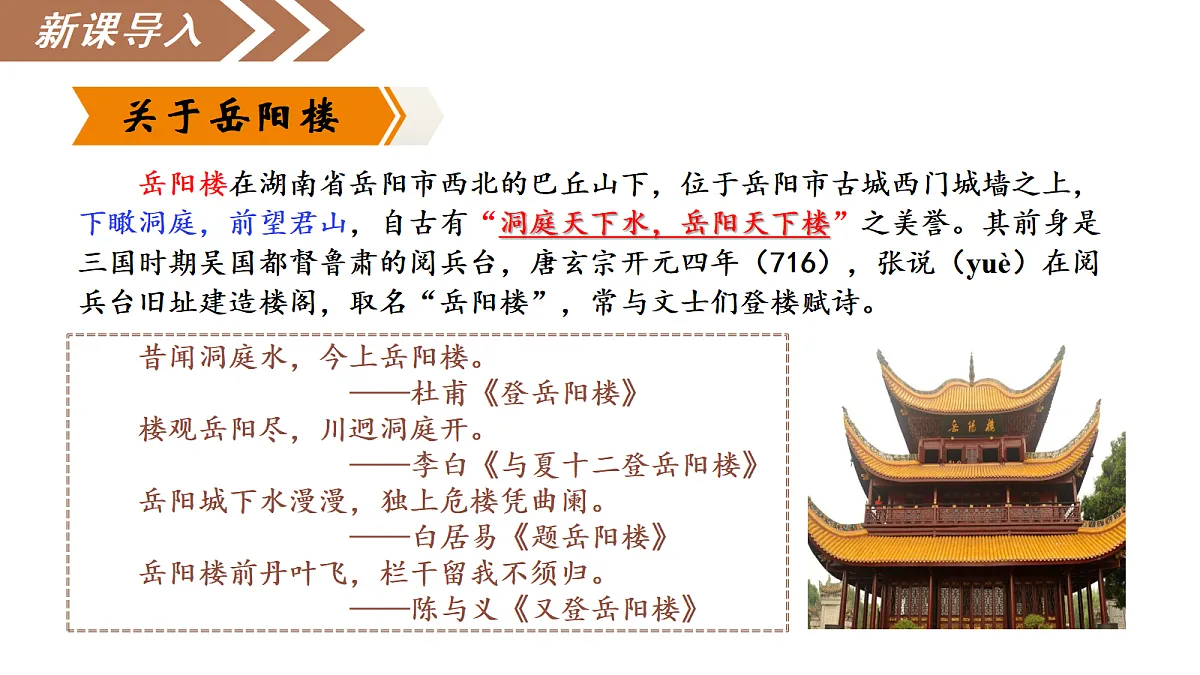 17295155第7页