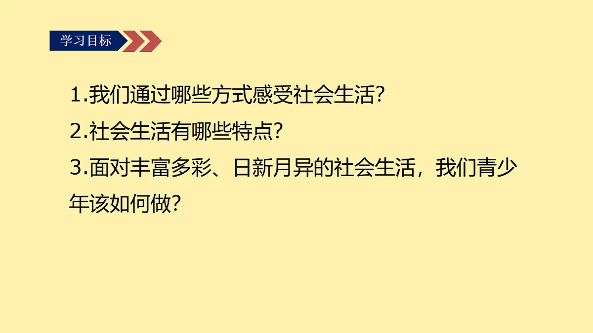 17295377第3页