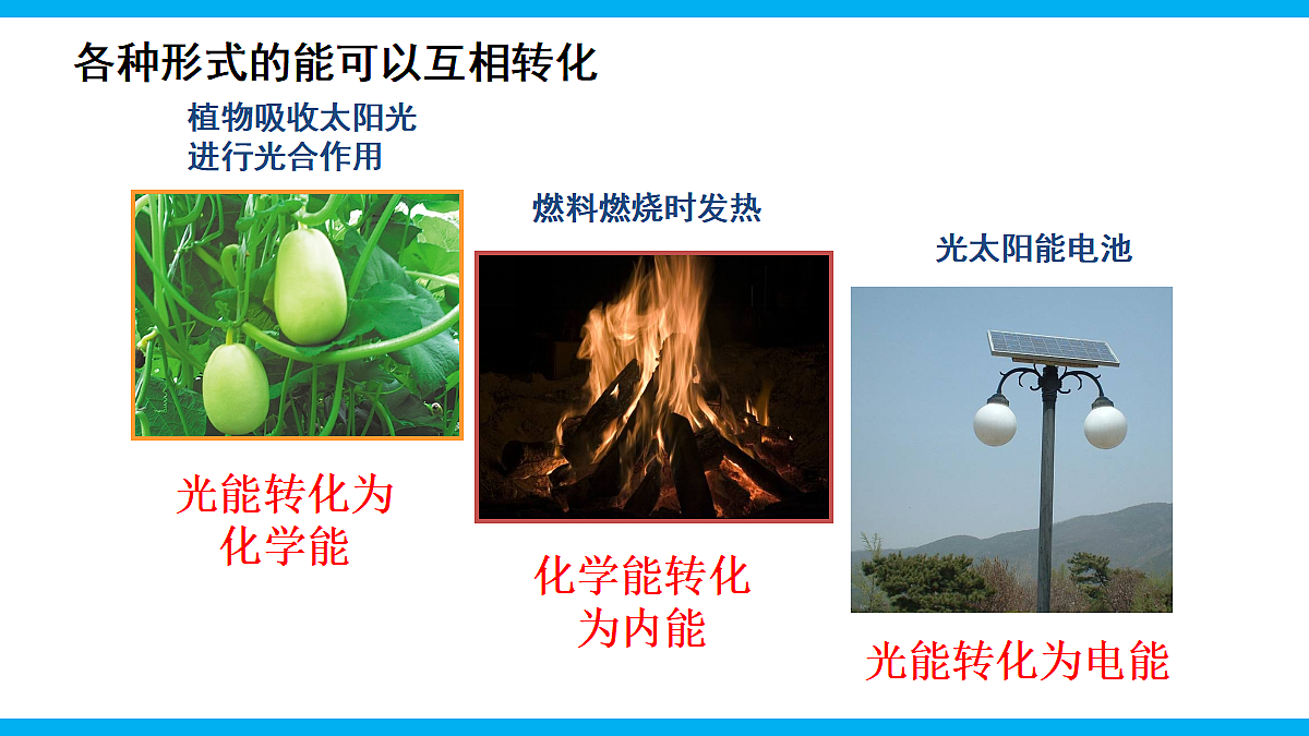 17295476第6页