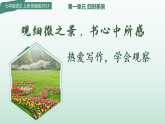 热爱写作，学会观察：观细微之景，书心中所感（情境任务教学课件）语文统编版2024七年级上册