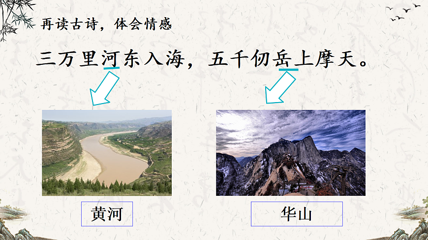 17295608第8页