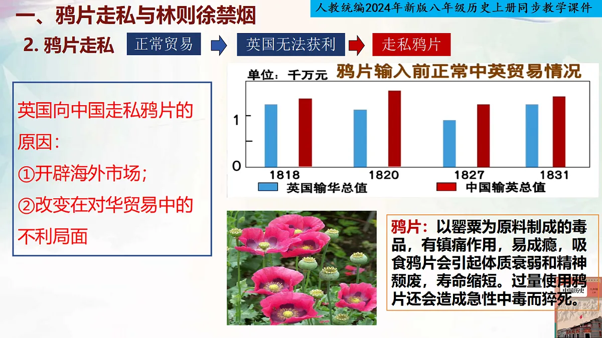17295678第3页