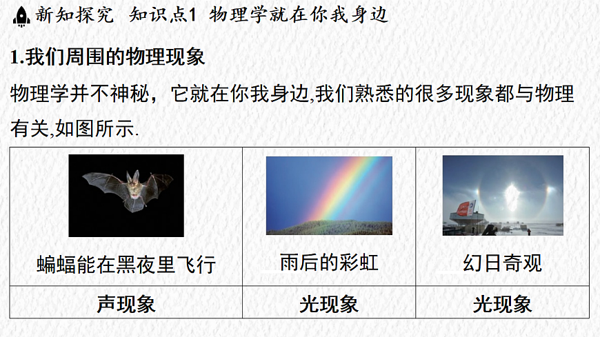 17296072第3页