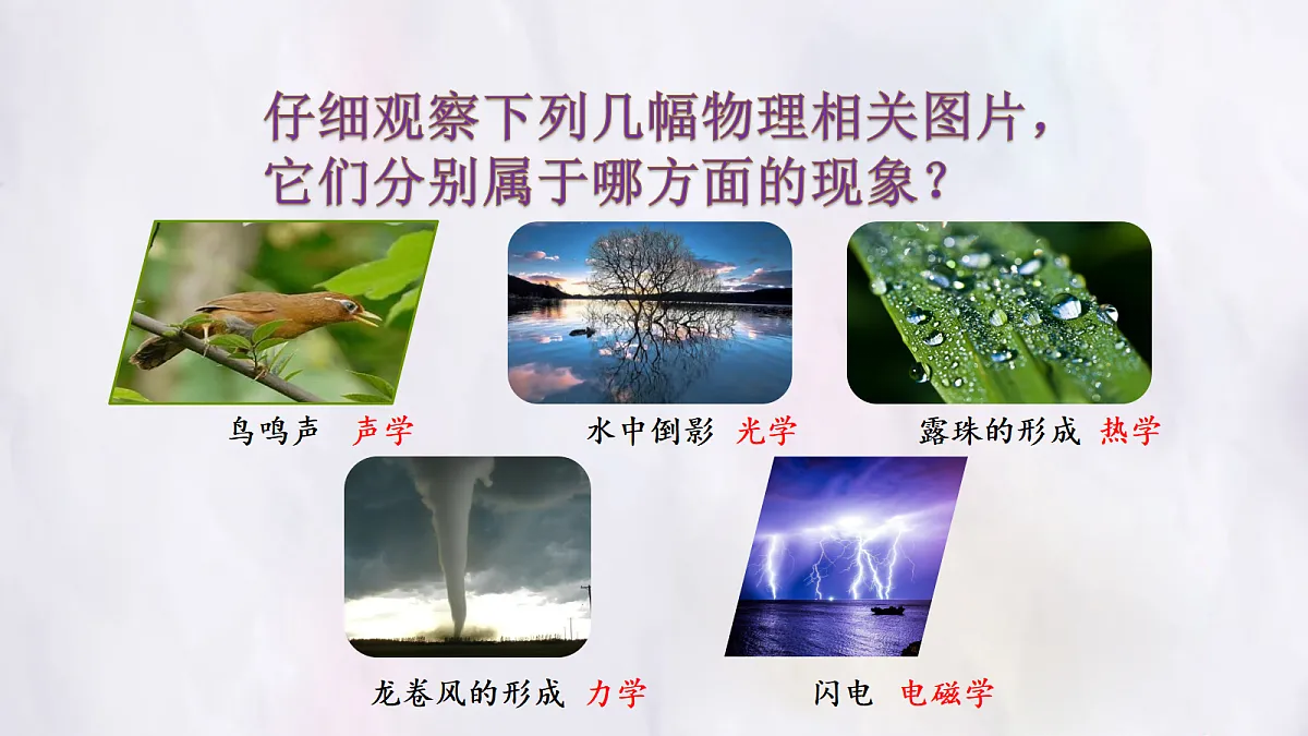17296073第3页