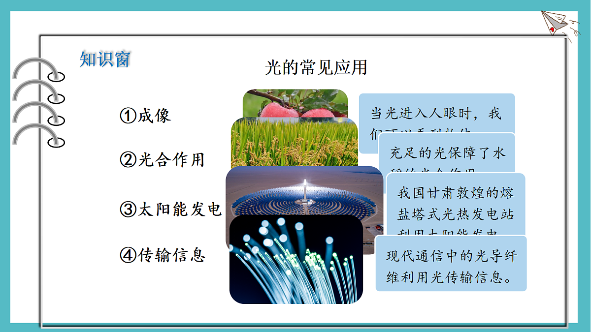 17296081第4页