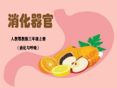 人教鄂教版小学科学三年级上册 第四单元 4.13《消化器官》课件（教学课件）